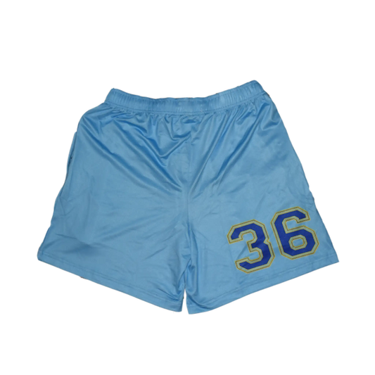 Back of Baby Blue Above Knee Mesh Short Sublimated Number Graphic Baseball