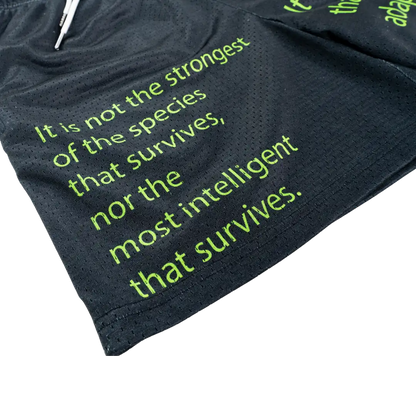 Adapt Mesh Short