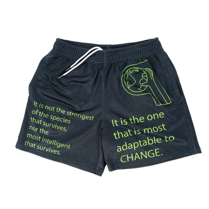 Adapt Mesh Short