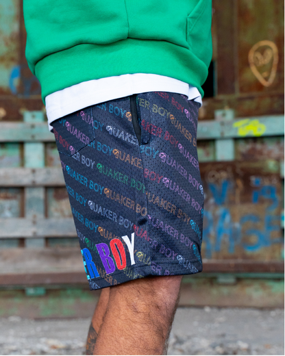 Rainbow Repeater V2 Mesh Short