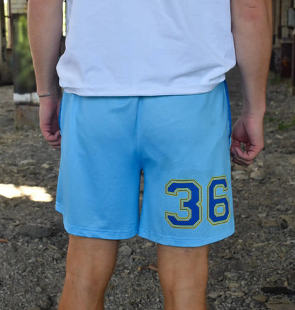 Team Quakers Baseball Mesh Short